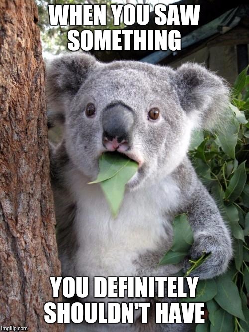 Surprised Koala | WHEN YOU SAW SOMETHING; YOU DEFINITELY SHOULDN'T HAVE | image tagged in memes,surprised koala | made w/ Imgflip meme maker