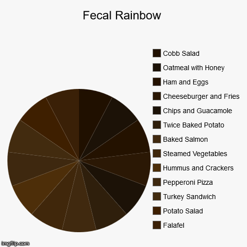 image tagged in funny,pie charts,fecal,food | made w/ Imgflip chart maker
