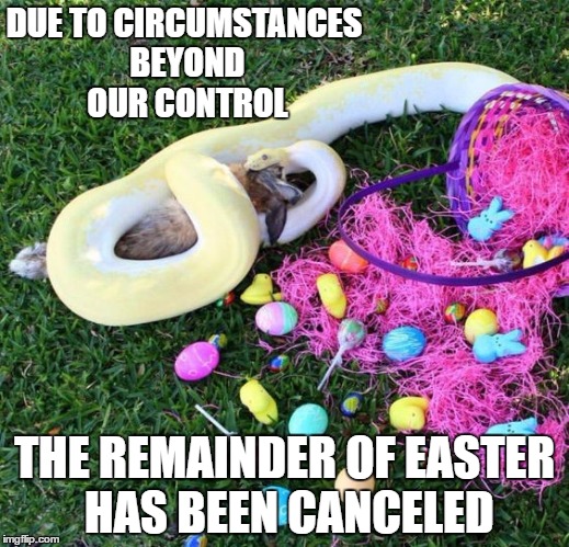 Yea, I can be a real stick in the mud | DUE TO CIRCUMSTANCES BEYOND OUR CONTROL; THE REMAINDER OF EASTER HAS BEEN CANCELED | image tagged in easter | made w/ Imgflip meme maker