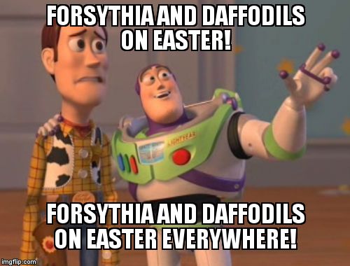 X, X Everywhere Meme | FORSYTHIA AND DAFFODILS ON EASTER! FORSYTHIA AND DAFFODILS ON EASTER EVERYWHERE! | image tagged in memes,x x everywhere | made w/ Imgflip meme maker