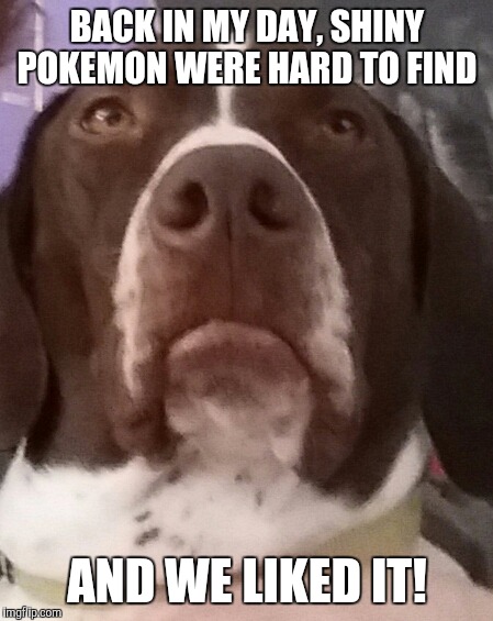 Old grouchy dog  | BACK IN MY DAY, SHINY POKEMON WERE HARD TO FIND; AND WE LIKED IT! | image tagged in old grouchy dog,grouch,old man dog | made w/ Imgflip meme maker
