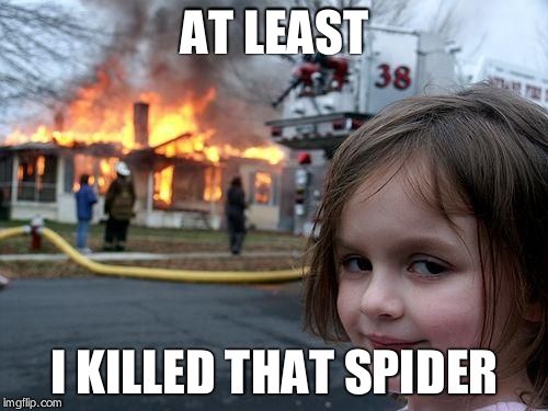 Disaster Girl | AT LEAST; I KILLED THAT SPIDER | image tagged in memes,disaster girl | made w/ Imgflip meme maker