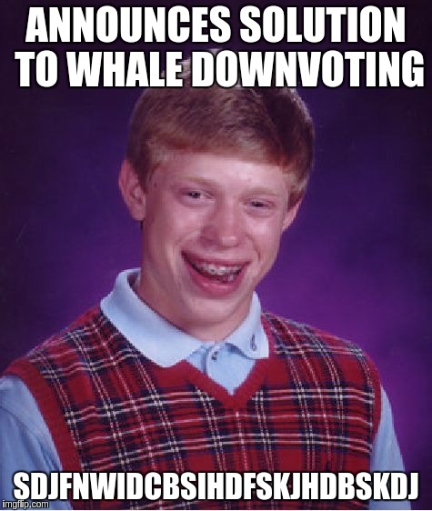 Bad Luck Brian Meme | ANNOUNCES SOLUTION TO WHALE DOWNVOTING; SDJFNWIDCBSIHDFSKJHDBSKDJ | image tagged in memes,bad luck brian | made w/ Imgflip meme maker