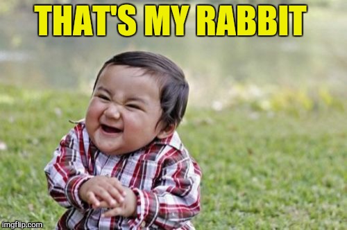 Evil Toddler Meme | THAT'S MY RABBIT | image tagged in memes,evil toddler | made w/ Imgflip meme maker