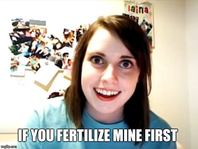 IF YOU FERTILIZE MINE FIRST | made w/ Imgflip meme maker