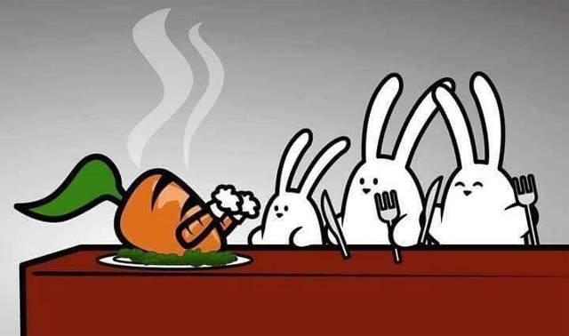 Bunny Feast Blank Meme Template