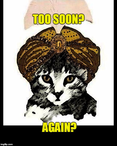 Psycat Predicts Timing | TOO SOON? AGAIN? | image tagged in good timing,too soon,questions,cat,cat meme,cat reading | made w/ Imgflip meme maker