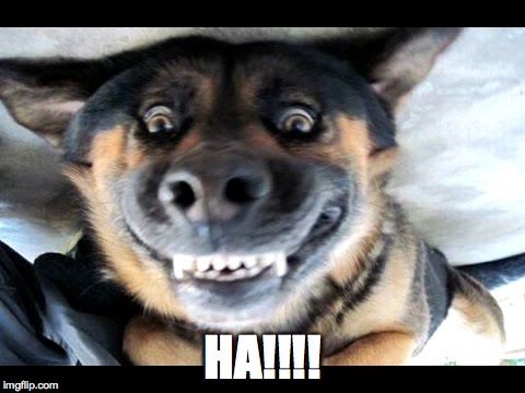 HA!!!! | made w/ Imgflip meme maker