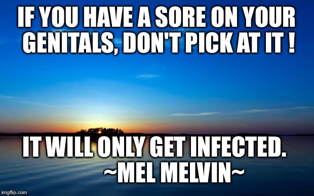 Inspirational Quote | IF YOU HAVE A SORE ON YOUR GENITALS, DON'T PICK AT IT ! IT WILL ONLY GET INFECTED.
        ~MEL MELVIN~ | image tagged in inspirational quote | made w/ Imgflip meme maker