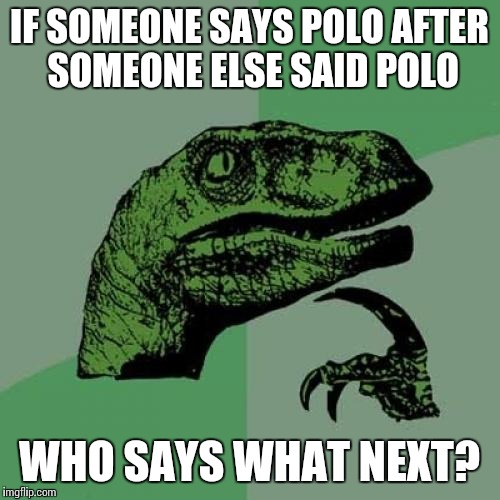 Philosoraptor Meme | IF SOMEONE SAYS POLO AFTER SOMEONE ELSE SAID POLO; WHO SAYS WHAT NEXT? | image tagged in memes,philosoraptor | made w/ Imgflip meme maker