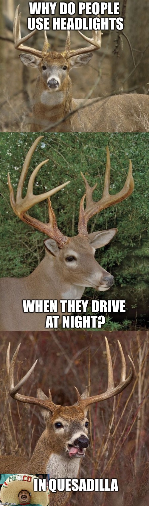 Bad Pun Buck | WHY DO PEOPLE USE HEADLIGHTS; WHEN THEY DRIVE AT NIGHT? IN QUESADILLA | image tagged in bad pun buck,memes,funny,succesful mexican | made w/ Imgflip meme maker