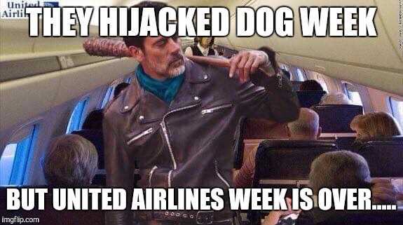 United airlines | THEY HIJACKED DOG WEEK; BUT UNITED AIRLINES WEEK IS OVER..... | image tagged in united airlines | made w/ Imgflip meme maker