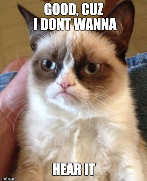 Grumpy Cat Meme | GOOD, CUZ I DONT WANNA HEAR IT | image tagged in memes,grumpy cat | made w/ Imgflip meme maker