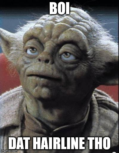 wtf yoda?  | BOI; DAT HAIRLINE THO | image tagged in wtf yoda | made w/ Imgflip meme maker