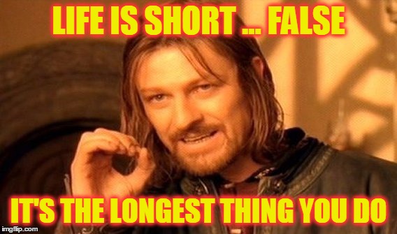 Puts It Into Perspective | LIFE IS SHORT ... FALSE; IT'S THE LONGEST THING YOU DO | image tagged in memes,one does not simply,life,living,funny | made w/ Imgflip meme maker