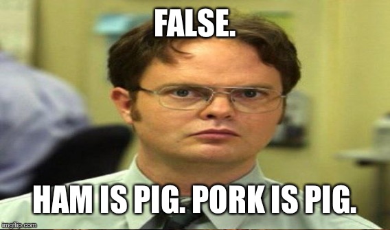 FALSE. HAM IS PIG. PORK IS PIG. | made w/ Imgflip meme maker