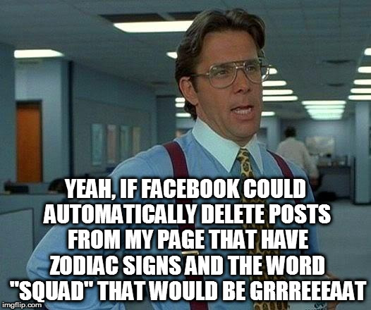 That Would Be Great Meme | YEAH, IF FACEBOOK COULD AUTOMATICALLY DELETE POSTS FROM MY PAGE THAT HAVE ZODIAC SIGNS AND THE WORD "SQUAD" THAT WOULD BE GRRREEEAAT | image tagged in memes,that would be great | made w/ Imgflip meme maker
