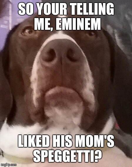 Old grouchy dog  | SO YOUR TELLING ME, EMINEM; LIKED HIS MOM'S SPEGGETTI? | image tagged in old grouchy dog | made w/ Imgflip meme maker