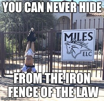YOU CAN NEVER HIDE; FROM THE IRON FENCE OF THE LAW | made w/ Imgflip meme maker