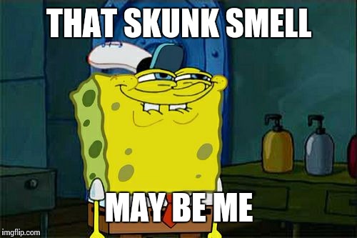 Don't You Squidward Meme | THAT SKUNK SMELL MAY BE ME | image tagged in memes,dont you squidward | made w/ Imgflip meme maker