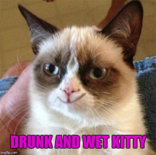 DRUNK AND WET KITTY | made w/ Imgflip meme maker