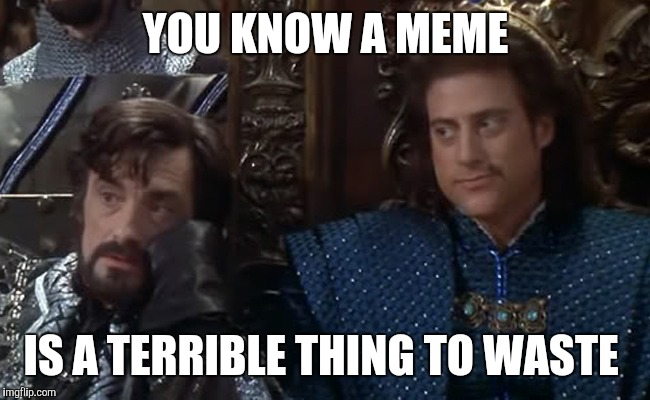 YOU KNOW A MEME; IS A TERRIBLE THING TO WASTE | image tagged in mel brooks,robin hood men in tights,viral meme,funny | made w/ Imgflip meme maker
