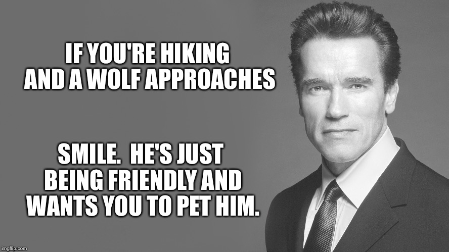 Bad advice Arnold | IF YOU'RE HIKING AND A WOLF APPROACHES; SMILE.  HE'S JUST BEING FRIENDLY AND WANTS YOU TO PET HIM. | image tagged in bad advice arnold,bad advice arnold schwarzenegger,bad advice,inspirational quote | made w/ Imgflip meme maker