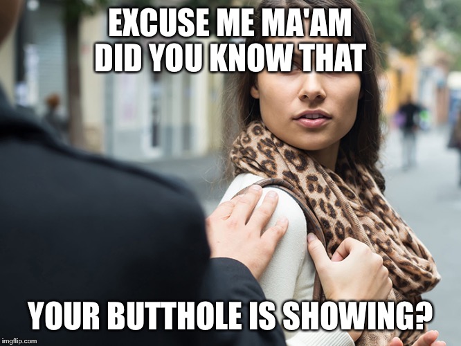 EXCUSE ME MA'AM DID YOU KNOW THAT; YOUR BUTTHOLE IS SHOWING? | made w/ Imgflip meme maker