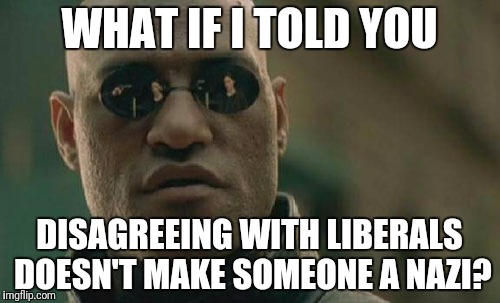 Matrix Morpheus | WHAT IF I TOLD YOU; DISAGREEING WITH LIBERALS DOESN'T MAKE SOMEONE A NAZI? | image tagged in memes,matrix morpheus | made w/ Imgflip meme maker