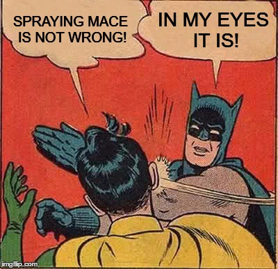 Batman Slapping Robin Meme | SPRAYING MACE IS NOT WRONG! IN MY EYES IT IS! | image tagged in memes,batman slapping robin | made w/ Imgflip meme maker