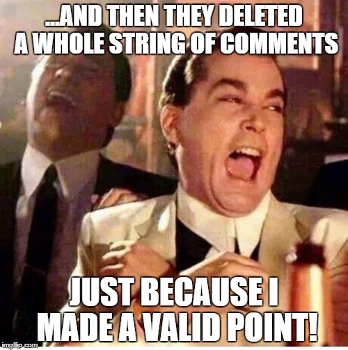 goodfellas | ...AND THEN THEY DELETED A WHOLE STRING OF COMMENTS; JUST BECAUSE I MADE A VALID POINT! | image tagged in goodfellas | made w/ Imgflip meme maker