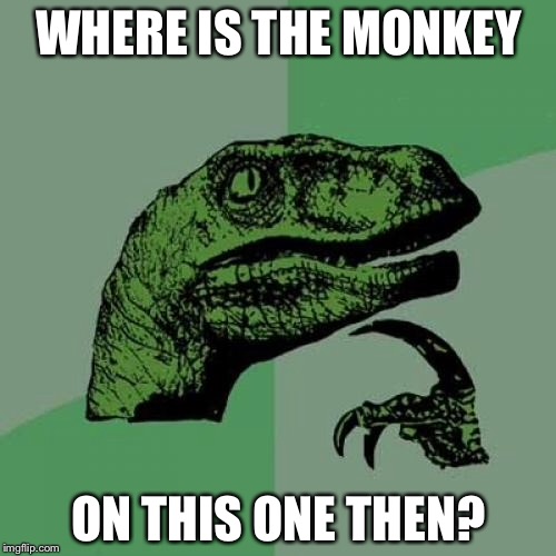 Philosoraptor Meme | WHERE IS THE MONKEY ON THIS ONE THEN? | image tagged in memes,philosoraptor | made w/ Imgflip meme maker