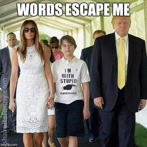 Most likely Photoshop, but still funny | WORDS ESCAPE ME | image tagged in barron trump,donald trump,polo shirt | made w/ Imgflip meme maker