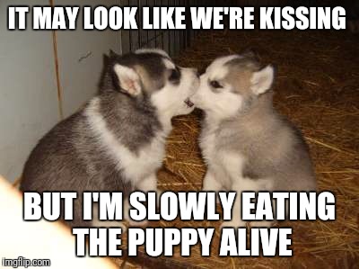 Cute Puppies | IT MAY LOOK LIKE WE'RE KISSING; BUT I'M SLOWLY EATING THE PUPPY ALIVE | image tagged in memes,cute puppies | made w/ Imgflip meme maker