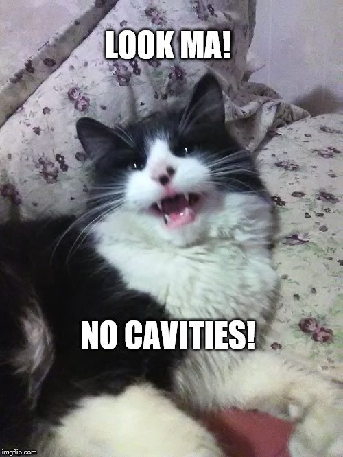 LOOK MA! NO CAVITIES! | image tagged in no cavities | made w/ Imgflip meme maker