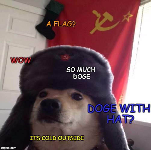 A FLAG? WOW; SO MUCH DOGE; DOGE WITH HAT? ITS COLD OUTSIDE | image tagged in doge with hat,doge,memes | made w/ Imgflip meme maker