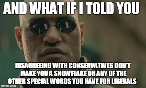 Matrix Morpheus Meme | AND WHAT IF I TOLD YOU DISAGREEING WITH CONSERVATIVES DON'T MAKE YOU A SNOWFLAKE OR ANY OF THE OTHER SPECIAL WORDS YOU HAVE FOR LIBERALS | image tagged in memes,matrix morpheus | made w/ Imgflip meme maker