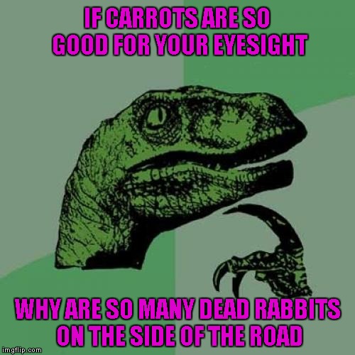 Maybe they need to look BOTH ways!!! | IF CARROTS ARE SO GOOD FOR YOUR EYESIGHT; WHY ARE SO MANY DEAD RABBITS ON THE SIDE OF THE ROAD | image tagged in memes,philosoraptor | made w/ Imgflip meme maker