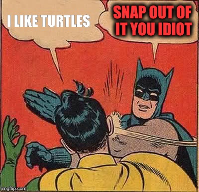 Batman Slapping Robin Meme | I LIKE TURTLES; SNAP OUT OF IT YOU IDIOT | image tagged in memes,batman slapping robin | made w/ Imgflip meme maker