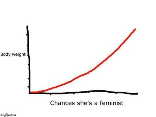 Correlation: Mind and Body | . | image tagged in feminism | made w/ Imgflip meme maker