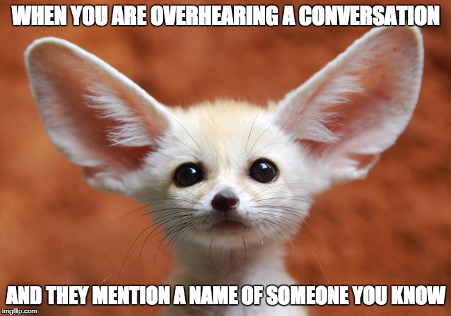 What the Fox!  | WHEN YOU ARE OVERHEARING A CONVERSATION; AND THEY MENTION A NAME OF SOMEONE YOU KNOW | image tagged in fox,meme,funny,evedrop,big,ears | made w/ Imgflip meme maker