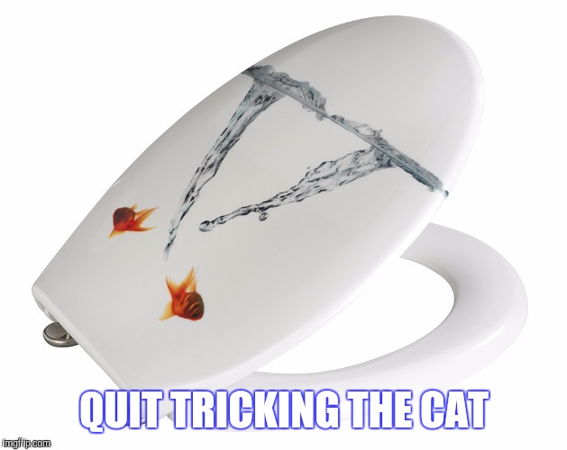 QUIT TRICKING THE CAT | made w/ Imgflip meme maker