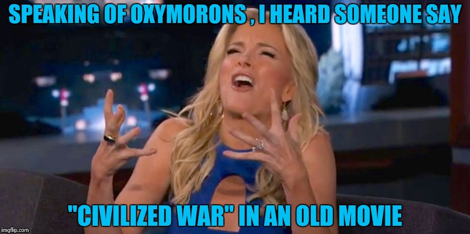 Megan Kelley | SPEAKING OF OXYMORONS , I HEARD SOMEONE SAY "CIVILIZED WAR" IN AN OLD MOVIE | image tagged in megan kelley | made w/ Imgflip meme maker