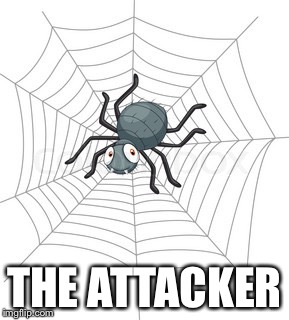 THE ATTACKER | image tagged in cartoon spider | made w/ Imgflip meme maker