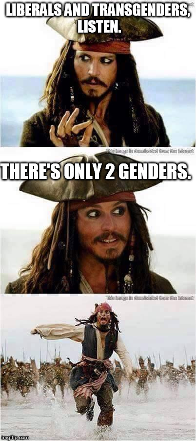jack sparrow run | LIBERALS AND TRANSGENDERS, LISTEN. THERE'S ONLY 2 GENDERS. | image tagged in jack sparrow run | made w/ Imgflip meme maker
