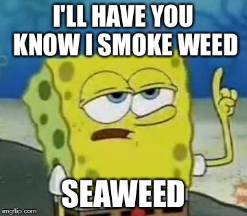 I'll Have You Know Spongebob | I'LL HAVE YOU KNOW I SMOKE WEED; SEAWEED | image tagged in memes,ill have you know spongebob | made w/ Imgflip meme maker