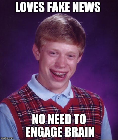 Bad Luck Brian Meme | LOVES FAKE NEWS; NO NEED TO ENGAGE BRAIN | image tagged in memes,bad luck brian | made w/ Imgflip meme maker