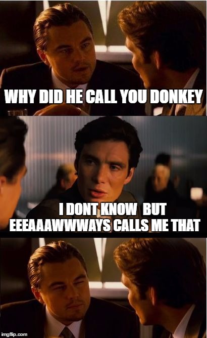 Inception Meme | WHY DID HE CALL YOU DONKEY; I DONT KNOW
 BUT EEEAAAWWWAYS CALLS ME THAT | image tagged in memes,inception | made w/ Imgflip meme maker