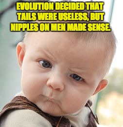 Skeptical Baby Meme | EVOLUTION DECIDED THAT TAILS WERE USELESS, BUT NIPPLES ON MEN MADE SENSE. | image tagged in memes,skeptical baby | made w/ Imgflip meme maker