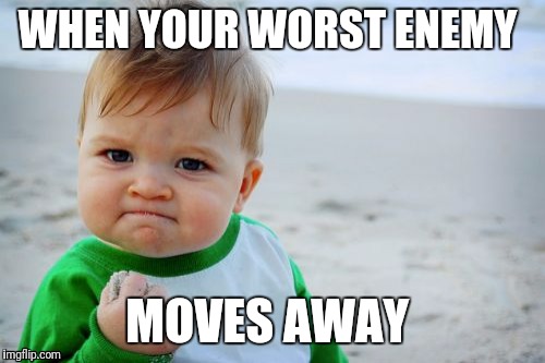 Success Kid Original | WHEN YOUR WORST ENEMY; MOVES AWAY | image tagged in memes,success kid original | made w/ Imgflip meme maker